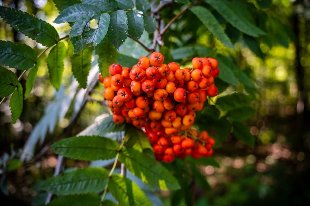 découvrez des idées de collations saines et savoureuses qui allient plaisir et nutrition. que vous cherchiez des alternatives aux snacks traditionnels ou des recettes faciles à réaliser, trouvez l'inspiration pour des encas délicieux qui favorisent votre bien-être.
