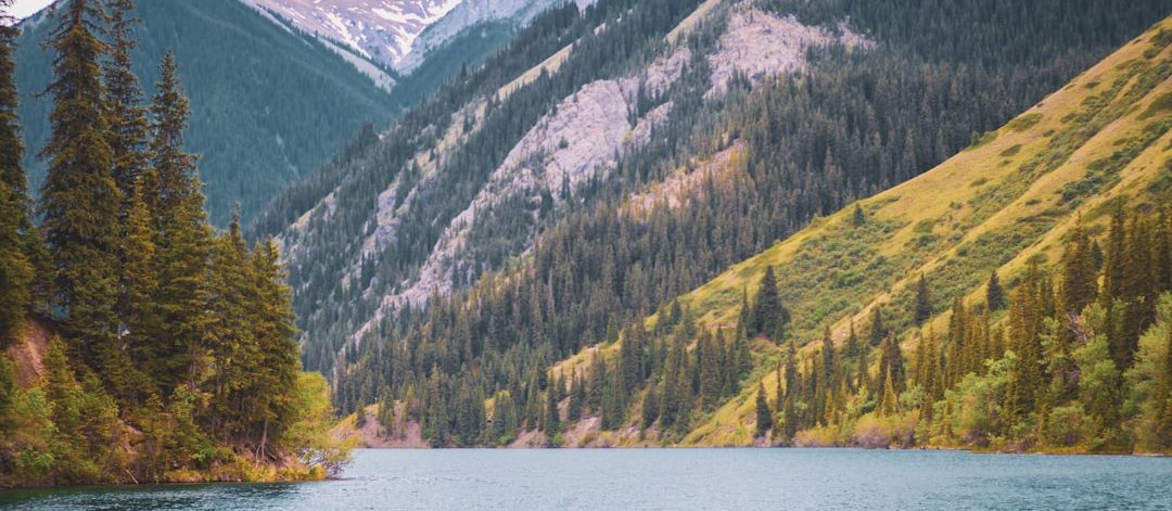 découvrez un havre de paix avec nature escape, une expérience immersive au cœur de la nature. évadez-vous du quotidien et reconnectez-vous avec l'environnement grâce à des activités en plein air revigorantes, des paysages à couper le souffle et une sérénité incomparable.