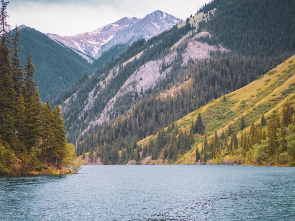 découvrez un havre de paix avec nature escape, une expérience immersive au cœur de la nature. évadez-vous du quotidien et reconnectez-vous avec l'environnement grâce à des activités en plein air revigorantes, des paysages à couper le souffle et une sérénité incomparable.