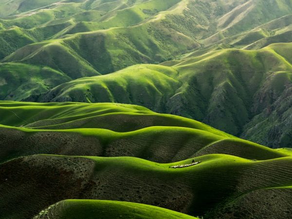 découvrez la beauté et la diversité de la nature, un écosystème fascinant regorgeant de paysages époustouflants, de faune sauvage et de flore unique. plongez dans un voyage inspirant à travers les merveilles du monde naturel.