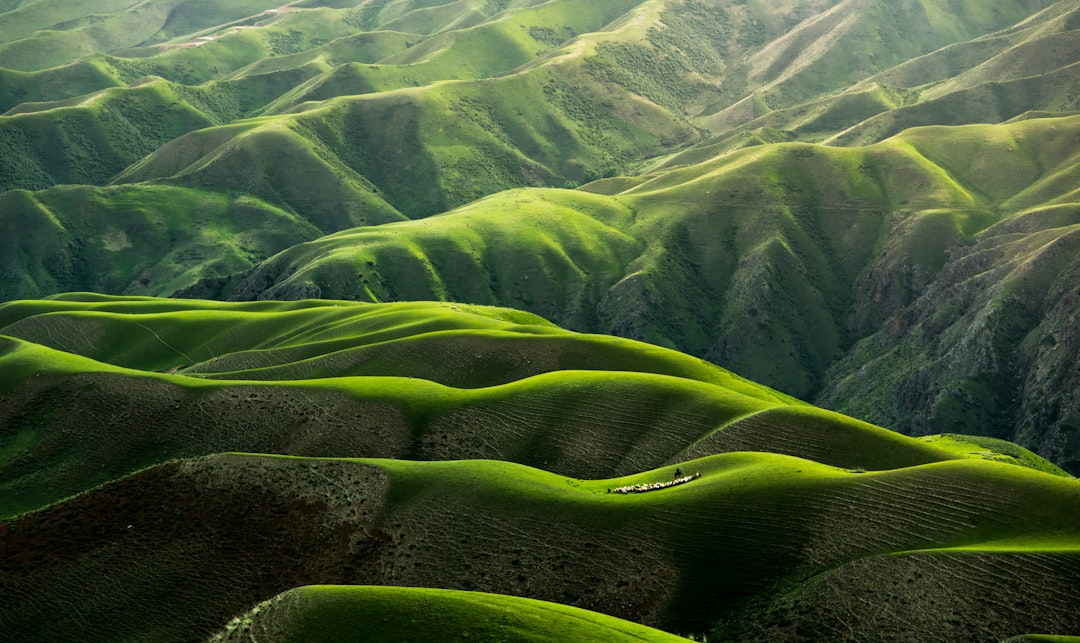découvrez la beauté et la diversité de la nature, un écosystème fascinant regorgeant de paysages époustouflants, de faune sauvage et de flore unique. plongez dans un voyage inspirant à travers les merveilles du monde naturel.