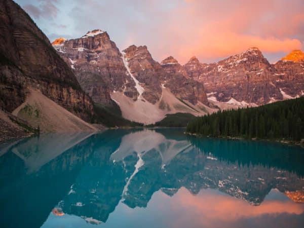 découvrez la beauté immersive de la nature à travers des paysages époustouflants, une faune fascinante et des plantes diversifiées. plongez dans un monde où la tranquillité et l'harmonie règnent, et explorez les bienfaits que la nature offre à notre bien-être.