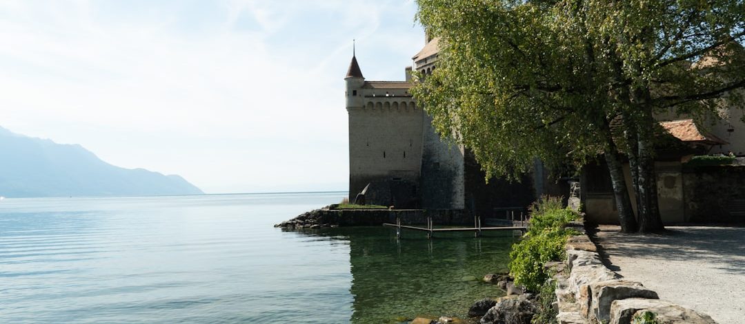 découvrez l'univers fascinant des châteaux, témoins d'une histoire riche et passionnante. explorez l'architecture majestueuse, les légendes et les secrets qui se cachent derrière ces monuments emblématiques à travers le temps.