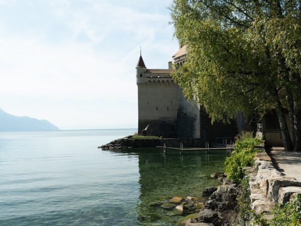 découvrez l'univers fascinant des châteaux, témoins d'une histoire riche et passionnante. explorez l'architecture majestueuse, les légendes et les secrets qui se cachent derrière ces monuments emblématiques à travers le temps.