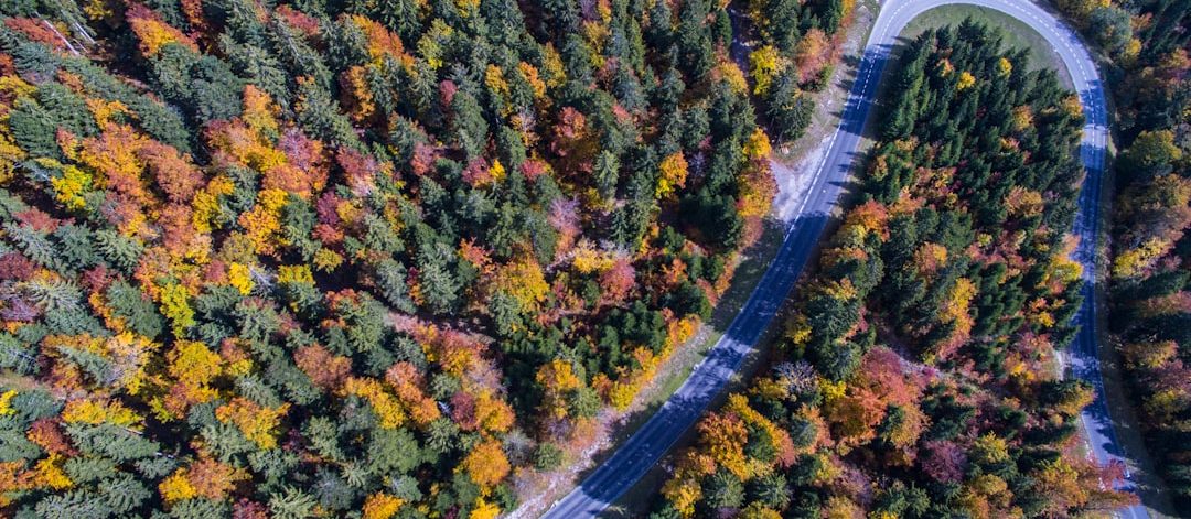 découvrez les merveilles des saisons, de la floraison printanière aux feuilles flamboyantes de l'automne, en passant par les joies de l'été et les paysages enneigés de l'hiver. explorez les changements naturels et les activités saisonnières qui enrichissent nos vies tout au long de l'année.