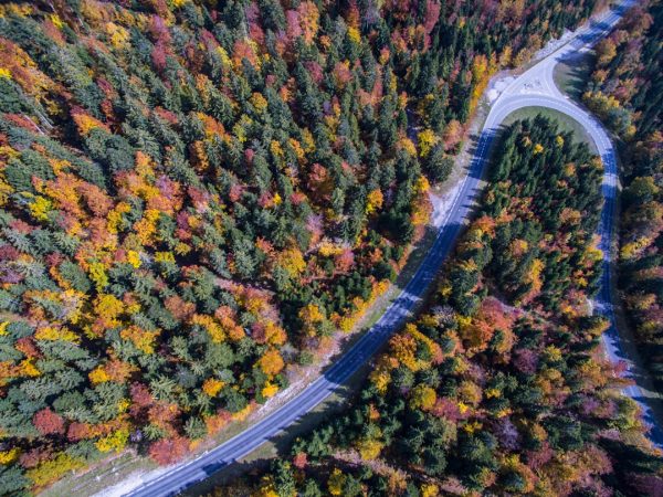 découvrez les merveilles des saisons, de la floraison printanière aux feuilles flamboyantes de l'automne, en passant par les joies de l'été et les paysages enneigés de l'hiver. explorez les changements naturels et les activités saisonnières qui enrichissent nos vies tout au long de l'année.