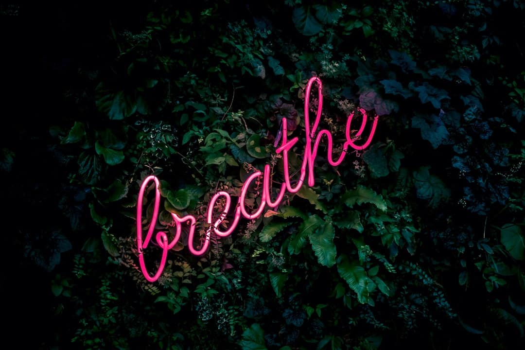 découvrez l'univers du bien-être avec nos conseils, astuces et produits pour améliorer votre santé physique et mentale. plongez dans une expérience enrichissante visant à nourrir votre corps et votre esprit.