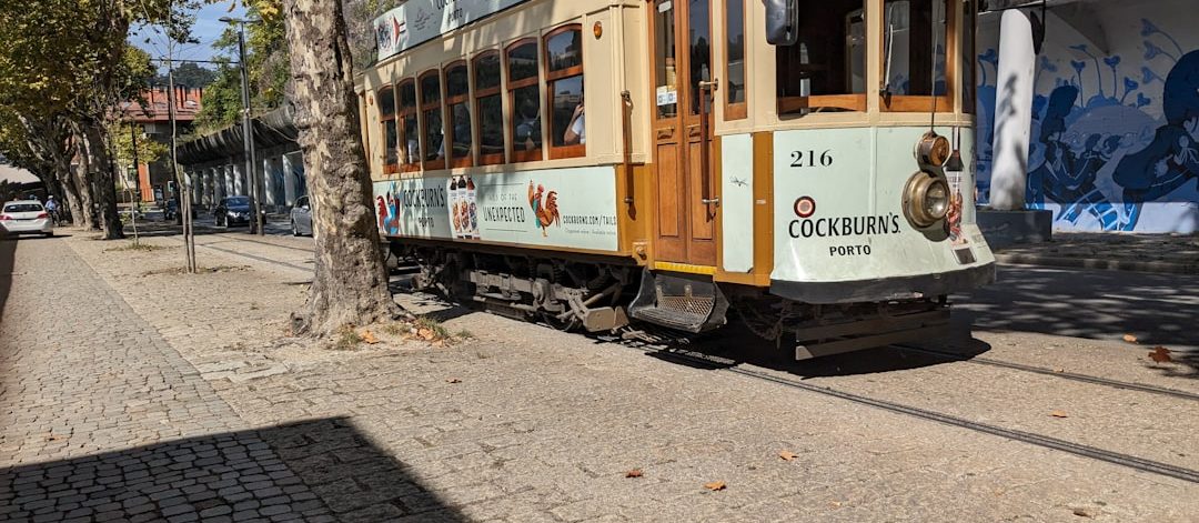 découvrez le voyage en train, une expérience unique alliant confort et paysages à couper le souffle. explorez des destinations fascinantes tout en profitant d'un trajet relaxant et eco-responsable.