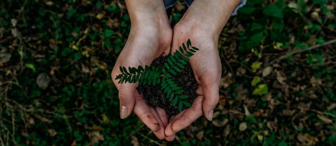 découvrez le tourisme durable, une approche qui allie exploration des merveilles naturelles et respect de l'environnement. apprenez comment voyager de manière responsable tout en préservant les cultures locales et en minimisant votre impact écologique.