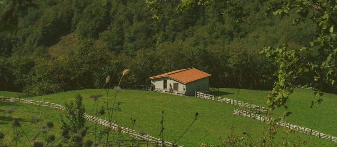 découvrez le charme intemporel d'une maison en pierre, alliant authenticité et confort moderne. idéale pour les amoureux de la nature et du patrimoine, cette demeure offre un cadre de vie chaleureux et convivial.