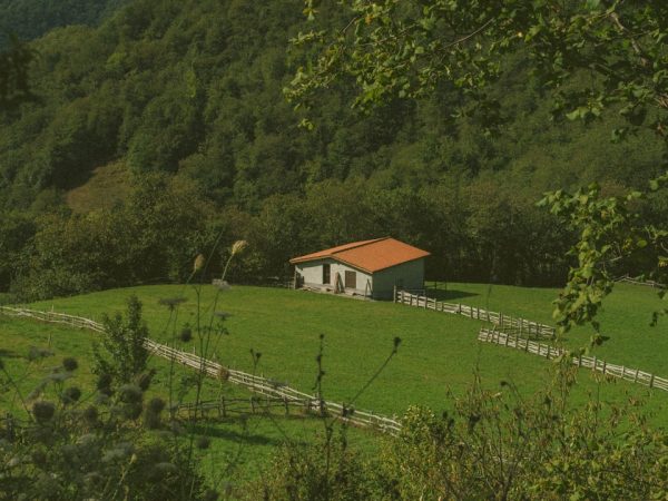 découvrez le charme intemporel d'une maison en pierre, alliant authenticité et confort moderne. idéale pour les amoureux de la nature et du patrimoine, cette demeure offre un cadre de vie chaleureux et convivial.