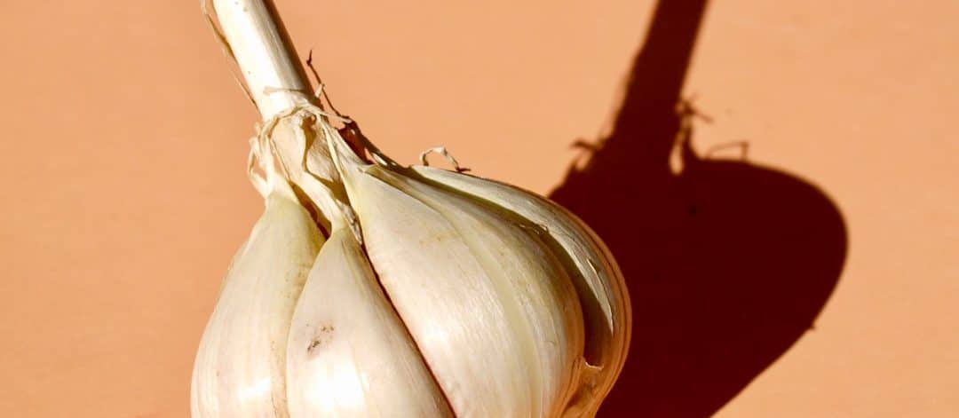 découvrez les bienfaits de la diète méditerranéenne, un régime alimentaire savoureux et équilibré, riche en fruits, légumes, céréales complètes et huiles saines. transformez votre santé et votre bien-être tout en savourant des plats délicieux inspirés des traditions culinaires de la méditerranée.