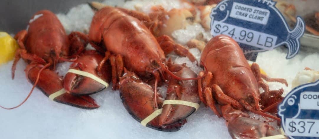 découvrez notre sélection de fruits de mer frais et savoureux, allant des crevettes juteuses aux huîtres délicates. profitez de recettes inspirantes et de conseils pour savourer le meilleur de la mer dans votre assiette.