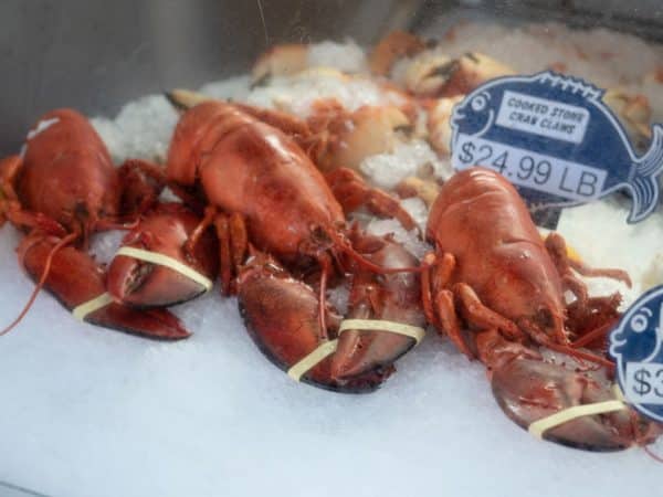 découvrez notre sélection de fruits de mer frais et savoureux, allant des crevettes juteuses aux huîtres délicates. profitez de recettes inspirantes et de conseils pour savourer le meilleur de la mer dans votre assiette.