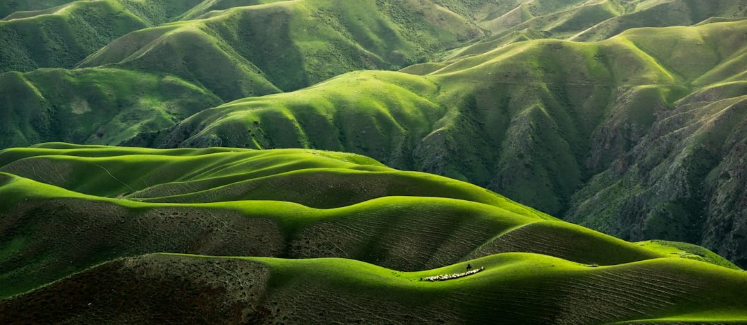 découvrez la beauté et la diversité de la nature à travers des paysages à couper le souffle, une faune fascinante et une flore enrichissante. plongez dans des articles captivants sur l'environnement, la préservation de la biodiversité et les merveilles naturelles qui nous entourent.