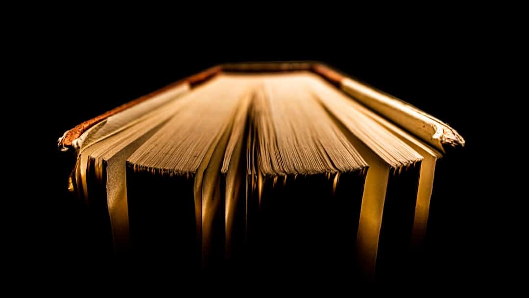 découvrez les trésors cachés du monde, des merveilles de la nature aux objets précieux de l'histoire. explorez notre collection unique d'expériences fascinantes et d'objets rares qui éveilleront votre curiosité et enrichiront vos connaissances.
